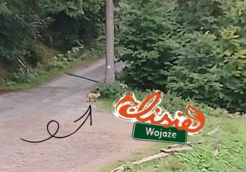 172