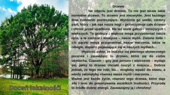 Drzewo Na zdjęciu jest drzewo. To nie jest wcale takie normalne drzewo. To drzewo jest niezwykłe. Jest każdego dnia cudownie pocieszające. Wyróżnia go wielki, ciemny pień, który – jak nas nasze no