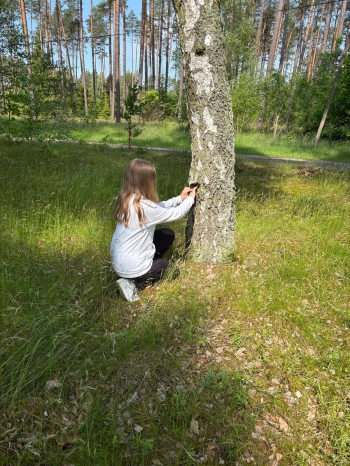 61